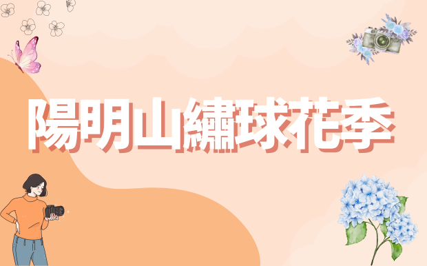 陽明山繡球花季盛典：漫步花海，捕捉初夏的浪漫倩影