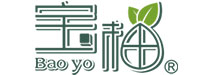 Baoyo Food