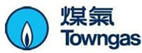 The Hong Kong and China Gas Company Limited 