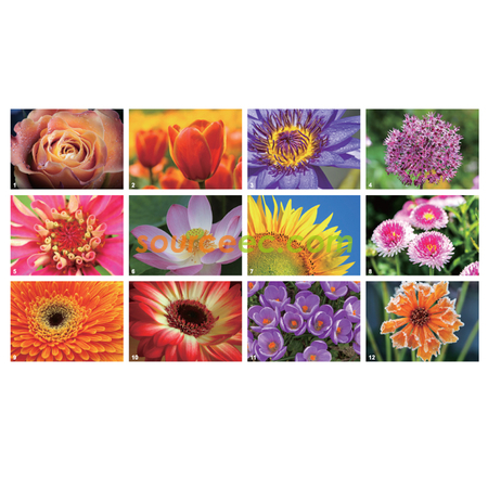 Customization Table Calendar Corporate Gifts
