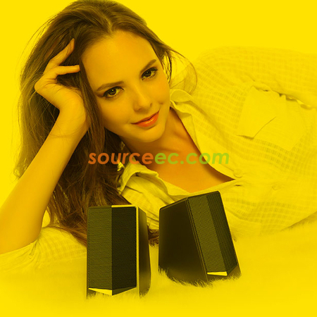 Customization HIFI Speaker Corporate Gifts
