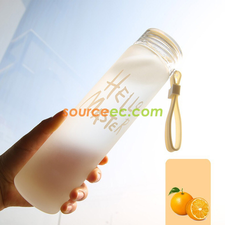 Customization 480ML Frosted Glass Corporate Gifts