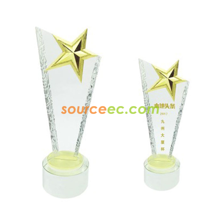 Customization The Rising Star Awards Corporate Gifts
