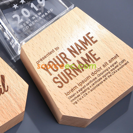 Customization Wooden Crystal Trophy Corporate Gifts