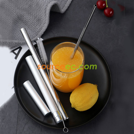 Stainless Steel Straw Set with Tube