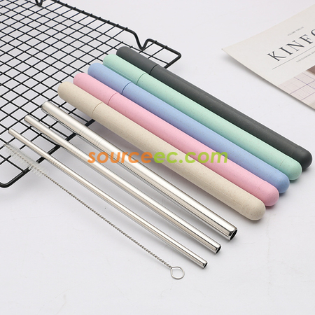 Stainless Steel Straw with Tube