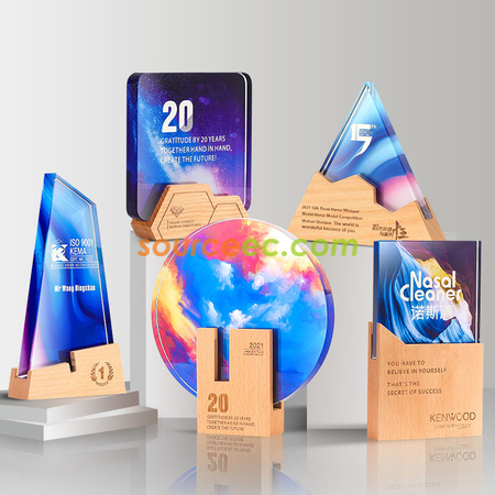 Customization Crystal Trophy Corporate Gifts