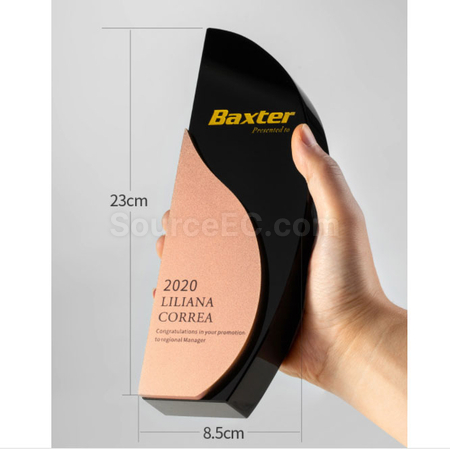 Customization Metal Trophy Corporate Gifts