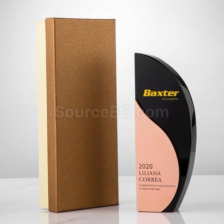 Customization Metal Trophy Corporate Gifts