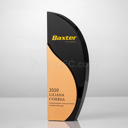 Customization Metal Trophy Corporate Gifts