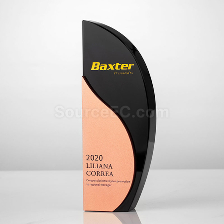 Customization Metal Trophy Corporate Gifts
