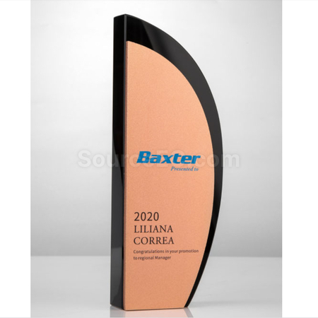 Customization Metal Trophy Corporate Gifts