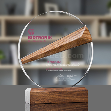 Customization Crystal Trophy Corporate Gifts