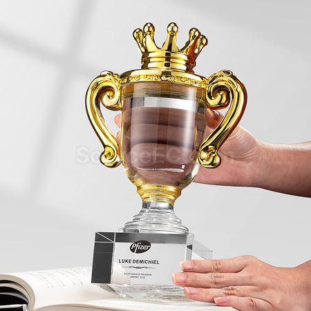 Customization Crystal Award Corporate Gifts