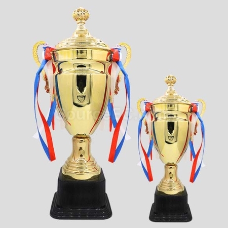 Customization Trophy Cup Corporate Gifts