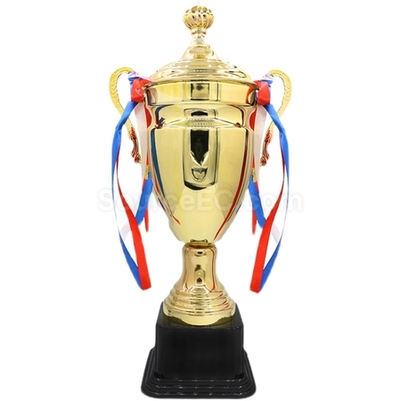 Customization Trophy Cup Corporate Gifts
