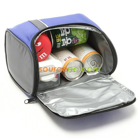 Portable cooler bag