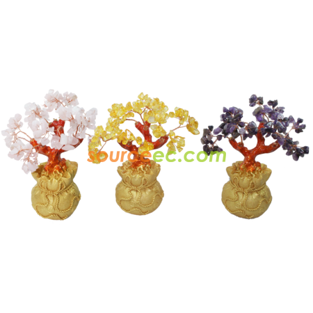 Customization Pachira Corporate Gifts