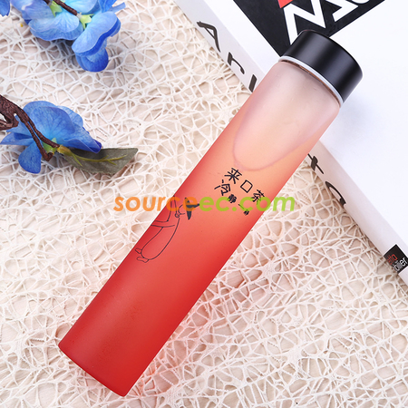 Customization 400ML Double Glass Corporate Gifts