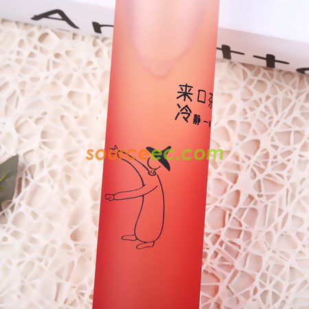 Customization 400ML Double Glass Corporate Gifts