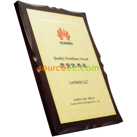 Customization MEDAL Corporate Gifts