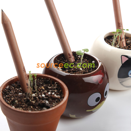Environmental Pot Pencil
