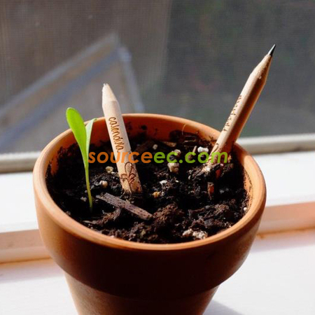 Customization Environmental Pot Pencil Corporate Gifts