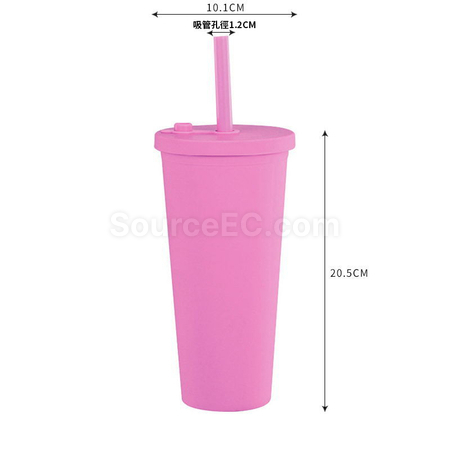 Customization Double-layer Straw Cup Corporate Gifts