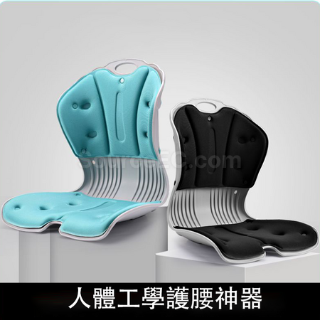 Waist Support Cushion Backrest