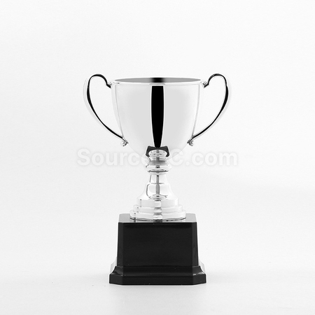 Customization Trophy Cup Corporate Gifts
