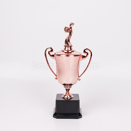 Customization Multi style Trophy Corporate Gifts
