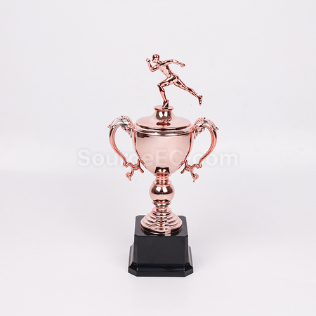 Customization Multi style Trophy Corporate Gifts