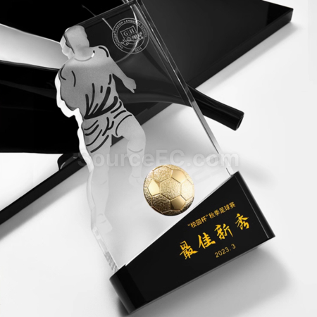 Customization Contest Trophy Corporate Gifts