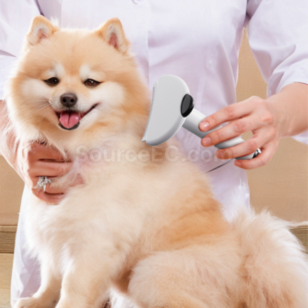Customization 2-in-1 Pet Hair Removal and Sticky Comb Corporate Gifts