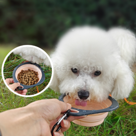 Customization Pet folding bowl Corporate Gifts