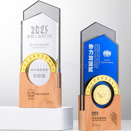 Customization Creative Wood Award Corporate Gifts
