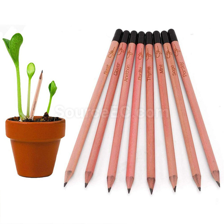 Seed Pencil