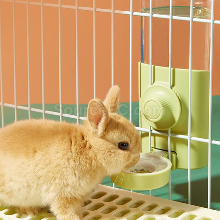Customization Rabbit and Guinea Pig Pet Water Dispenser Corporate Gifts