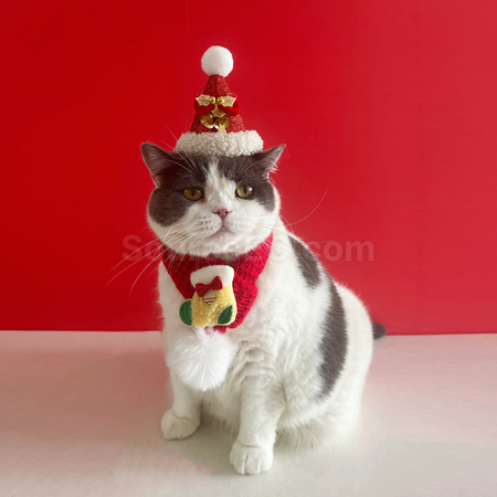 Customization Pet Christmas Set Corporate Gifts