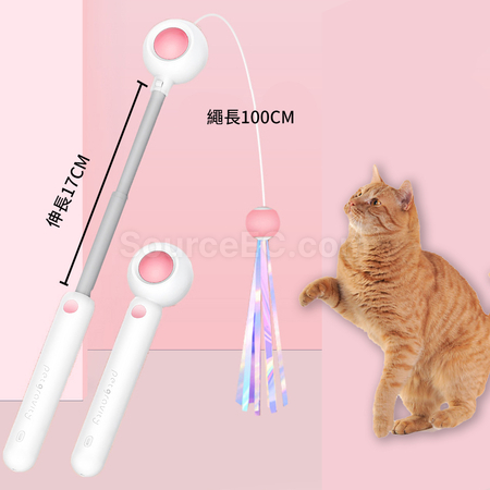 Customization Cat Teaser Corporate Gifts