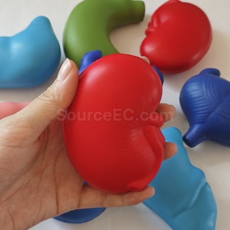 Customization Organ stress ball  Corporate Gifts
