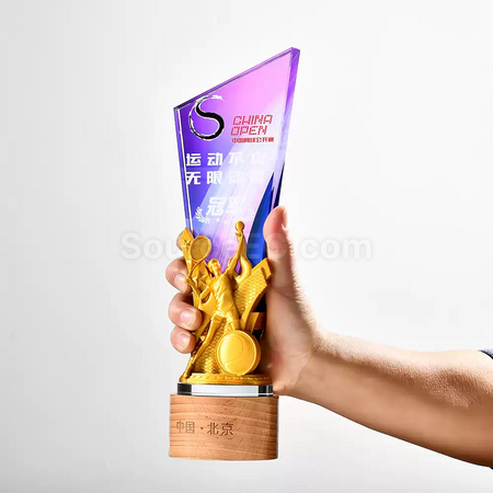 Customization Sport Crystal Trophy Corporate Gifts