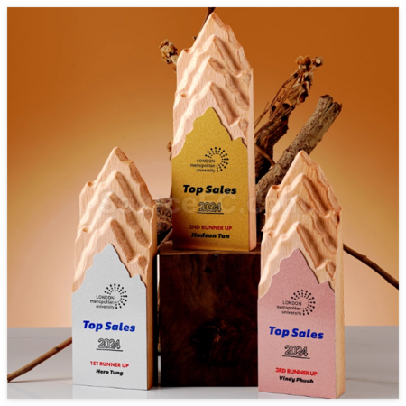 Customization Creative Metal and Solid Wood Trophy Corporate Gifts