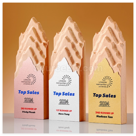 Customization Creative Metal and Solid Wood Trophy Corporate Gifts