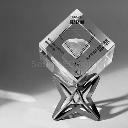 Customization Rubik's Cube Crystal Trophy Corporate Gifts