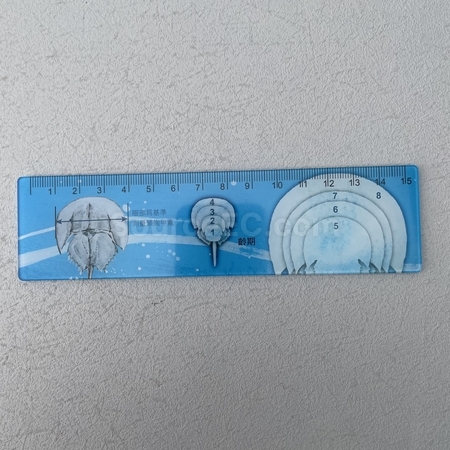 desk ruler, steel ruler, Yard stick, Meted Stick, sewing tape, tape measure, length measurement calculator, stationery ruler, measure rulers, corporate gifts, premium gifts, gift supplier, promotional gifts, gift company, souvenirs, gift wholesale, gift ideas