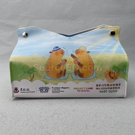storage bag, promotional storage bag, logo storage bags,frosted storage bags, imprinted storage bags,