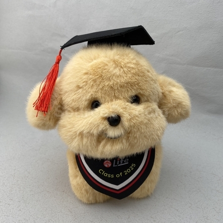 Promotion Souvenir Manufacturers, souvenir Suppliers, Souvenirs, Corporate Gifts, Door Gifts, Souvenirs, Tourist Souvenirs, Christmas Gifts, Wedding souvenirs, premium gifts, gift supplier, promotional gifts, gift company, souvenirs, gift wholesale, gift ideas