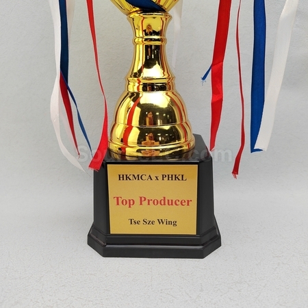 trophy cup, trophy, medal, race award, plaques, coin, wooden medals, silver plate, flag, banner flag, metal badge, custom lapel pins, name board, competition souvenir, corporate gifts, premium gifts, gift supplier, promotional gifts, gift company, souvenirs, stationery, gift wholesale, gift ideas