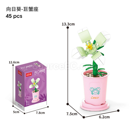 Customization Coffee Cup Plant Series Building Blocks-The 12 Zodiac Signs' Guardian Flower Collection Corporate Gifts